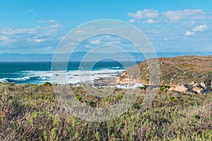 Rocky cliffs, ocean view, and California native forest, amazing view from Montana de Oro Bluff trail, California