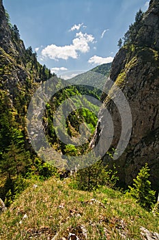 Rocky cliffs in Prosiecka dolina valley in Chocske vrchy