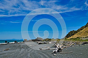 Rocky coast with black sand beach. Baring Head, Wellington, New Zealand