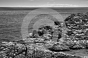 Rocky coast Croatia