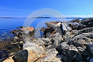 Rocky Coast and Driftwood at Sidney with Gulf Islands, Saanich Peninsula, Vancouver Island, British Columbia