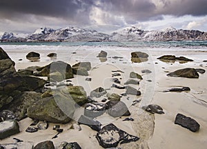 Rocky coast of fjord of Norwegian sea in winter with snow. Haukland beach, Lofoten islands, Norway.