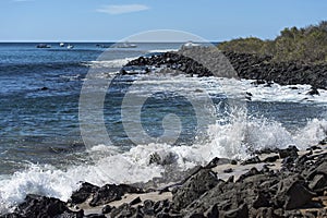 Rocky coast, Floreana  Island, Galapagos Islands, Ecuador photo