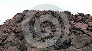 Rocky coast Galapagos Islands.