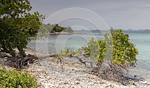 Rocky coast on the island of Ko Kham. Thailand