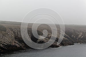 Rocky coast of the island Ouessant, in the fog