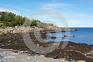 Rocky Coast in Ogunquit, ME, USA