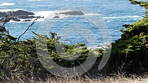 Rocky coast, ocean waves, cypress pine tree, 17-mile drive, Monterey, California