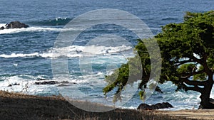 Rocky coast, ocean waves, cypress pine tree, 17-mile drive, Monterey, California