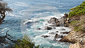 Rocky coast, ocean waves, cypress pine tree, 17-mile drive, Monterey, California