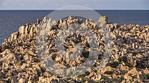 Rocky Coast, PrÃ­a Cliffs, Karst Formation, Llames de PrÃ­a, Spain photo