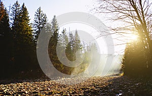 Rocky coast of the river. Landscape of countryside river