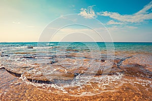 Rocky coast in summer. Beautiful seascape. Sunset beach