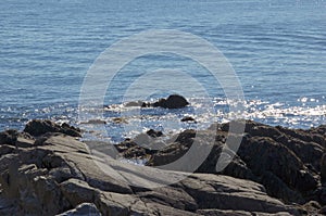 Rocky coast where maine meets the atlantic ocean