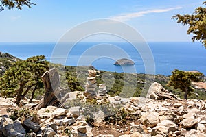 Rocky coast with wild vegetation