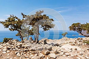 Rocky coast with wild vegetation.Greece