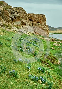 Rocky coast Zavkhan River
