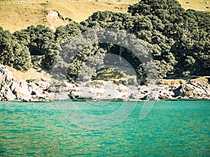 Rocky coastal edge with pohutukawa at base of Mount Maunganui