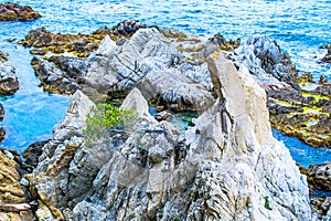 The rocky coastline.