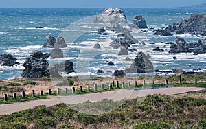 Rocky Coastline, Bodega Bay, California