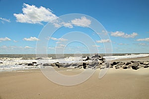 Rocky coastline of Edisto Beach In Charleston, South Carolina