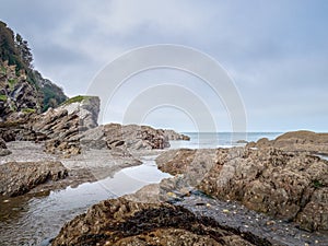 Rocky coastline at Hele Bay in North Devon, England near Ilfracombe. photo