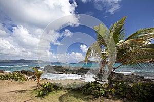 Rocky coastline of an island in the Caribbean