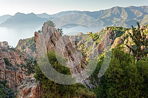 Rocky coastline landscape