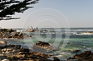 Rocky coastline Monterey