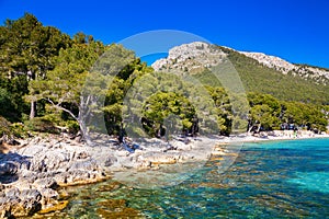 Rocky coastline near the beach of Mallorca