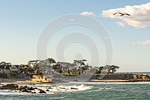 Rocky coastline on Pacific Grove, California