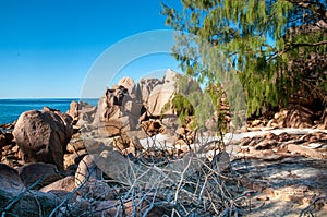Rocky coastline with red granite rock formation in a wild beach