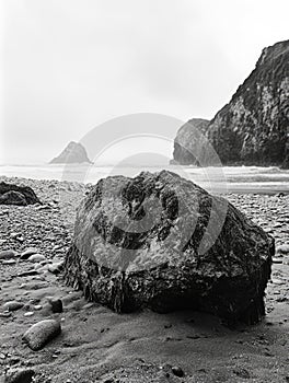 Rocky Coastline photo