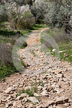 Rocky country road in the village of ein Karem a suburb of Jerusalem