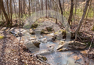 Rocky creek in dense forest