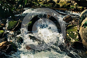 A small flowing creek and small waterfall