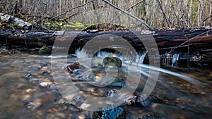 A rocky creek with a little waterfall. stream between tree trunks