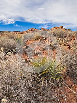 Rocky Desert Cliff in Fedonia, Arizona