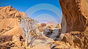 A rocky, desert landscape at Spitzkoppe, Namibia, including plant life surviving in extreme desert conditions.