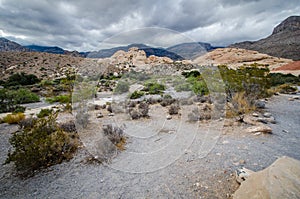 Rocky desert scenery on a stormy overcast summer day in monsoon season in Nevada Red Rock Canyon National Conservation Area