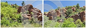 Rocky desert terrain mesquite trees blue sky collage