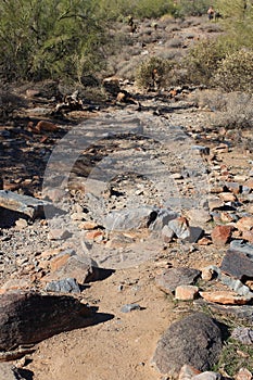 The rocky, desert trail, Horseshoe Loop, in McDowell Sonoran Preserve, Scottsdale, Arizona