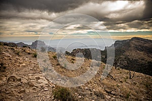 Rocky Emory Peak Trail Cuts Through Meadows in the Chisos