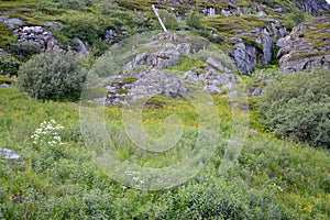 Rocky exposures in the tundra. Kola Peninsula