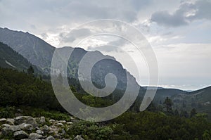 Skalnaté mlhavé hory proti zatažené obloze ve Vysokých Tatrách, Slovensko
