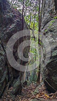 Rocky forest area from countryside srilanka