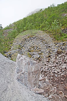 Rocky forest in fog