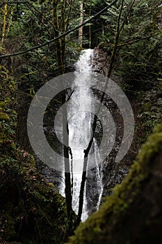 Rocky Forest Waterfalls