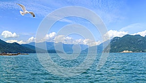 Rocky, forested islands off the Pacific coast of Canada