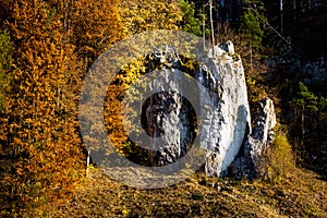 Rocky Formation - Father, mather and son.